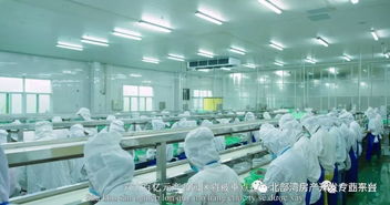 《边海之城，国门东兴》 一部城市的史诗，一份国门的荣光